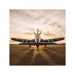 E-Flite F4U-4 Corsair 1.2M BNF Basic -E-Flite Offerte Negozio f4u 4 corsair 12m bnf basic 14