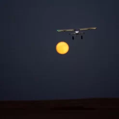 E-Flite Night Timber X 1.2M BNF Basic W/AS3X & SAFE Select -E-Flite Offerte Negozio night timber x 12m bnf basic w as3x safe select 15